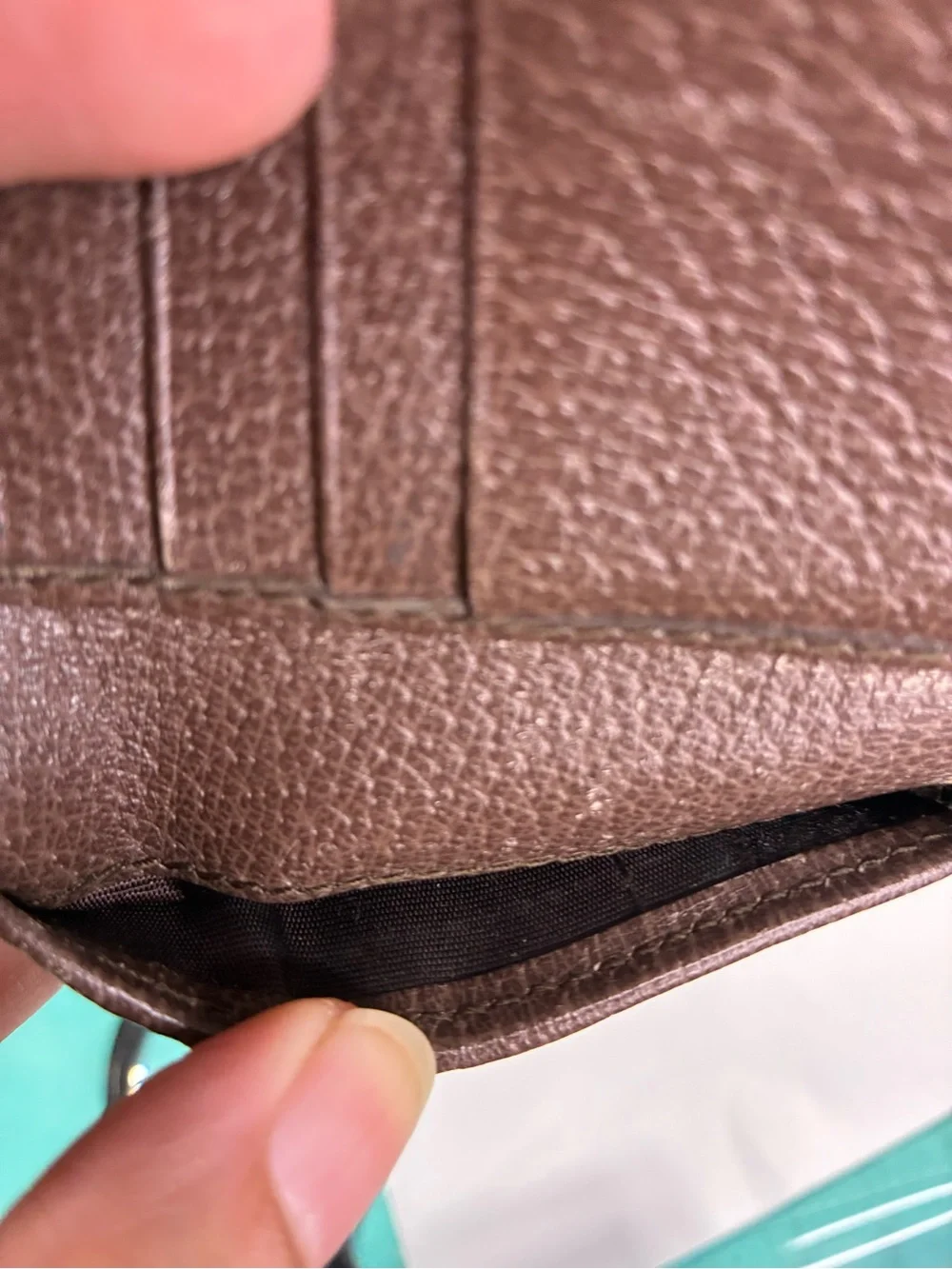Gucci compact bifold